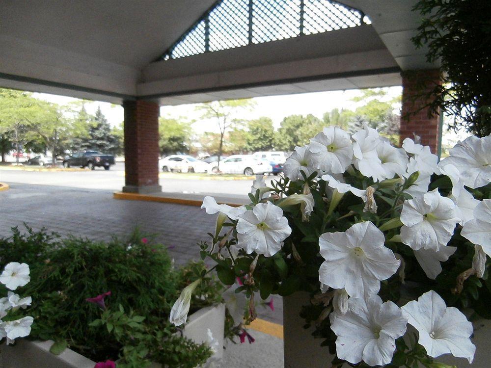Holiday Inn Express Hamilton-Stoney Creek Exteriör bild